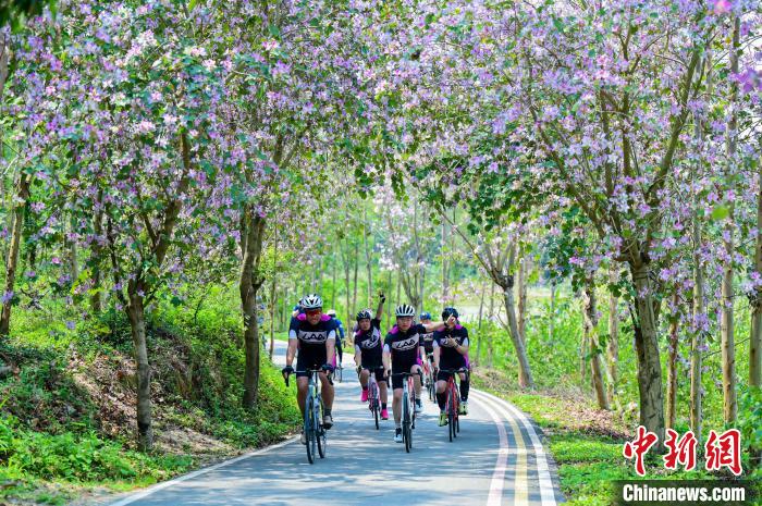 2025环粤港澳大湾区自行车赛信宜站开赛 骑行者畅